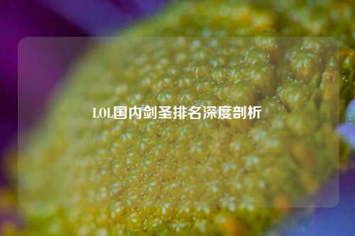 LOL国内剑圣排名深度剖析