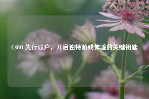 CSGO 先行账户，开启独特游戏体验的关键钥匙