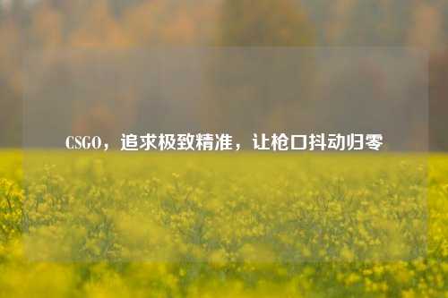 CSGO，追求极致精准，让枪口抖动归零