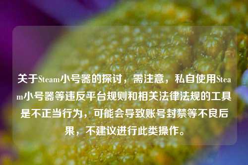 关于Steam小号器的探讨，需注意，私自使用Steam小号器等违反平台规则和相关法律法规的工具是不正当行为，可能会导致账号封禁等不良后果，不建议进行此类操作。