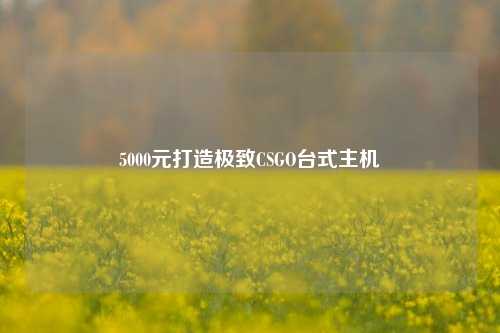 5000元打造极致CSGO台式主机