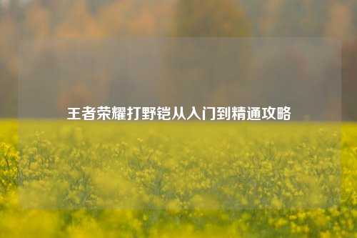 王者荣耀打野铠从入门到精通攻略
