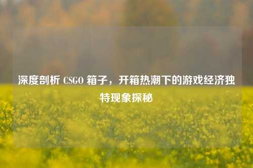 深度剖析 CSGO 箱子，开箱热潮下的游戏经济独特现象探秘