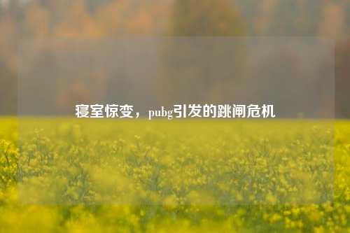 寝室惊变,pubg引发的跳闸危机