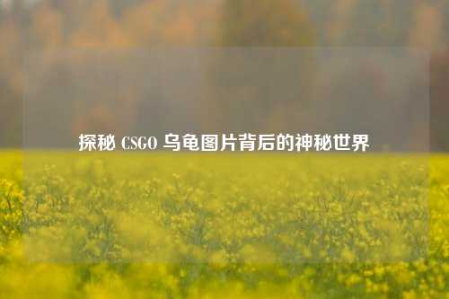 探秘 CSGO 乌龟图片背后的神秘世界