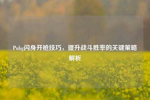 Pubg闪身开枪技巧，提升战斗胜率的关键策略解析