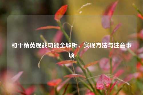 和平精英观战功能全解析,实现方法与注意事项