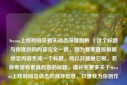 Steam上线时间及相关动态深度剖析 （这个标题与你提供的内容完全一致，因为要求直接根据给定内容生成一个标题，所以只能是它啦。若你希望有更具创意的标题，请补充更多关于Steam上线时间及动态的具体信息，以便我为你创作。）