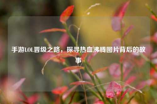 手游LOL晋级之路,探寻热血沸腾图片背后的故事