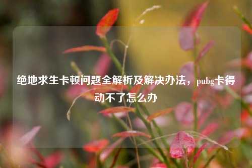 绝地求生卡顿问题全解析及解决办法,pubg卡得动不了怎么办