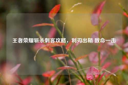 王者荣耀斩杀刺客攻略，利刃出鞘 致命一击