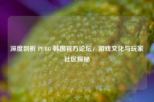 深度剖析 PUBG 韩国官方论坛，游戏文化与玩家社区探秘
