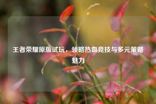 王者荣耀原版试玩,领略热血竞技与多元策略魅力