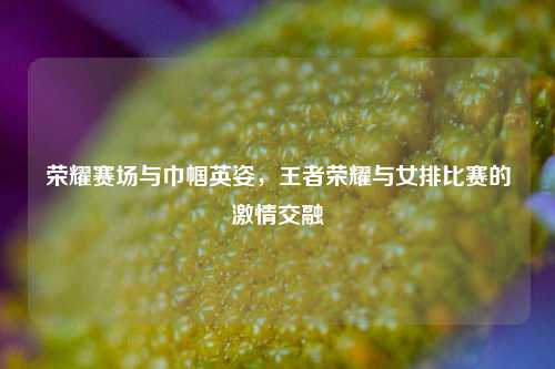 荣耀赛场与巾帼英姿,王者荣耀与女排比赛的激情交融