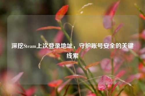 深挖Steam上次登录地址，守护账号安全的关键线索