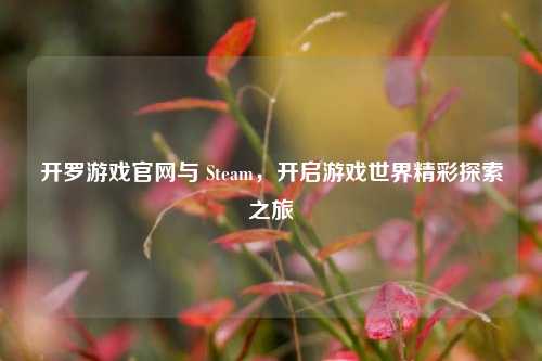 开罗游戏官网与 Steam，开启游戏世界精彩探索之旅