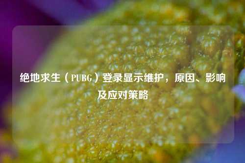 绝地求生（PUBG）登录显示维护，原因、影响及应对策略