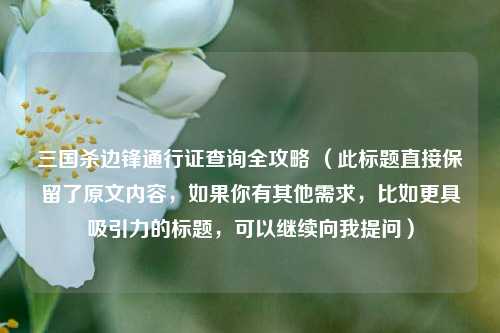 三国杀边锋通行证查询全攻略 （此标题直接保留了原文内容，如果你有其他需求，比如更具吸引力的标题，可以继续向我提问）