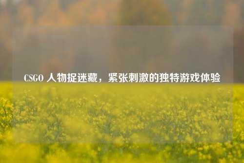 CSGO 人物捉迷藏,紧张刺激的独特游戏体验