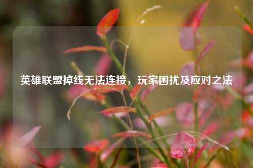 英雄联盟掉线无法连接，玩家困扰及应对之法