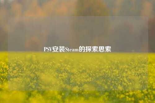 PSV安装Steam的探索思索