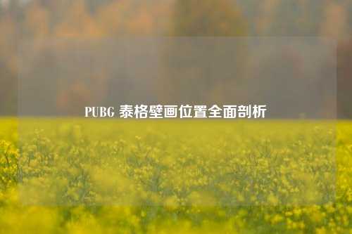 PUBG 泰格壁画位置全面剖析