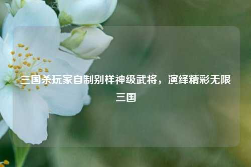 三国杀玩家自制别样神级武将,演绎精彩无限三国