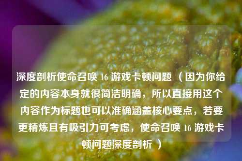 深度剖析使命召唤 16 游戏卡顿问题 （因为你给定的内容本身就很简洁明确，所以直接用这个内容作为标题也可以准确涵盖核心要点，若要更精炼且有吸引力可考虑，使命召唤 16 游戏卡顿问题深度剖析 ）