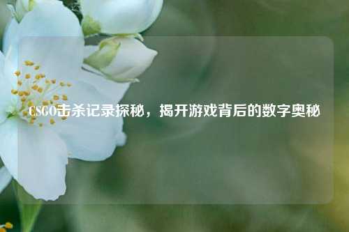 CSGO击杀记录探秘,揭开游戏背后的数字奥秘
