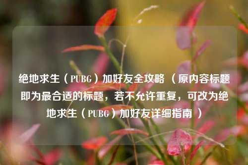 绝地求生（PUBG）加好友全攻略 （原内容标题即为最合适的标题，若不允许重复，可改为绝地求生（PUBG）加好友详细指南 ）
