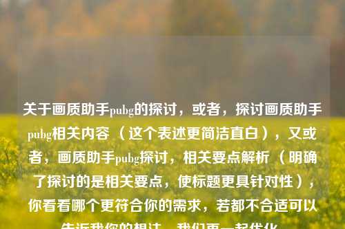 关于画质助手pubg的探讨,或者,探讨画质助手pubg相关内容 (这个表述更简洁直白),又或者,画质助手pubg探讨,相关要点解析 (明确了探讨的是相关要点,使标题更具针对性),你看看哪个更符合你的需求,若都不合适可以告诉我你的想法,我们再一起优化。