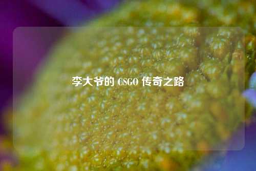 李大爷的 CSGO 传奇之路