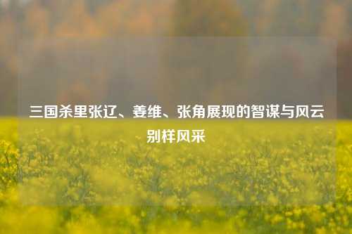 三国杀里张辽、姜维、张角展现的智谋与风云别样风采