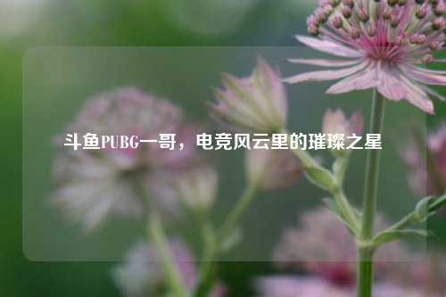 斗鱼PUBG一哥,电竞风云里的璀璨之星