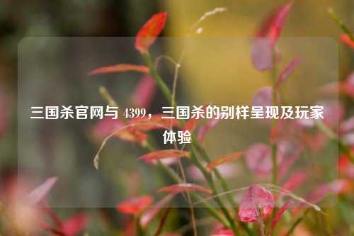 三国杀官网与 4399,三国杀的别样呈现及玩家体验