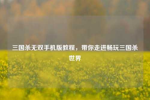 三国杀无双手机版教程，带你走进畅玩三国杀世界