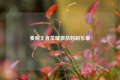 奏响王者荣耀激昂时刻乐章