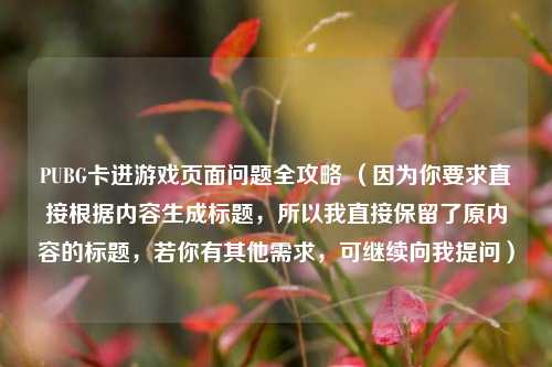 PUBG卡进游戏页面问题全攻略 （因为你要求直接根据内容生成标题，所以我直接保留了原内容的标题，若你有其他需求，可继续向我提问）