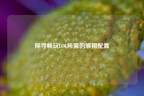 探寻畅玩LOL所需的够用配置