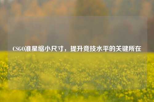 CSGO准星缩小尺寸，提升竞技水平的关键所在