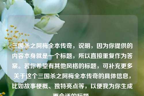 三国杀之阿梅全本传奇，说明，因为你提供的内容本身就是一个标题，所以直接重复作为答案。若你希望有其他风格的标题，可补充更多关于这个三国杀之阿梅全本传奇的具体信息，比如故事梗概、独特亮点等，以便我为你生成更合适的标题。