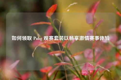 如何领取 Pubg 观赛套装以畅享激情赛事体验