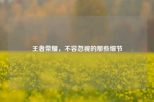 王者荣耀，不容忽视的那些细节