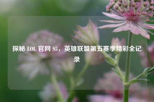 探秘 LOL 官网 S5,英雄联盟第五赛季精彩全记录