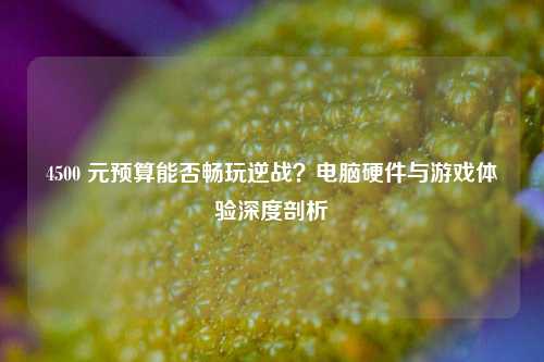 4500 元预算能否畅玩逆战?电脑硬件与游戏体验深度剖析