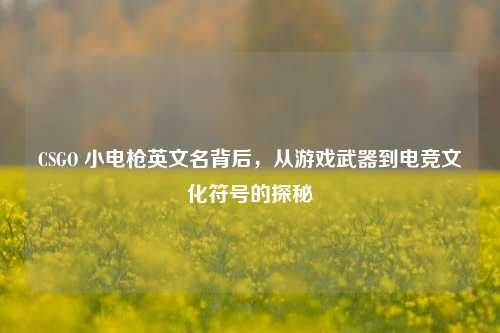 CSGO 小电枪英文名背后，从游戏武器到电竞文化符号的探秘
