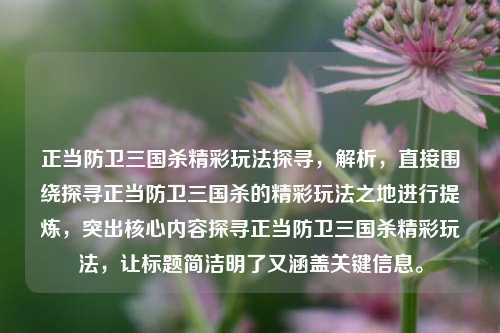 正当防卫三国杀精彩玩法探寻，解析，直接围绕探寻正当防卫三国杀的精彩玩法之地进行提炼，突出核心内容探寻正当防卫三国杀精彩玩法，让标题简洁明了又涵盖关键信息。