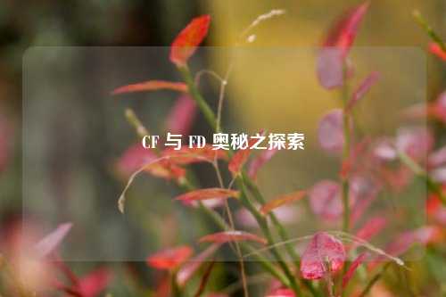 CF 与 FD 奥秘之探索