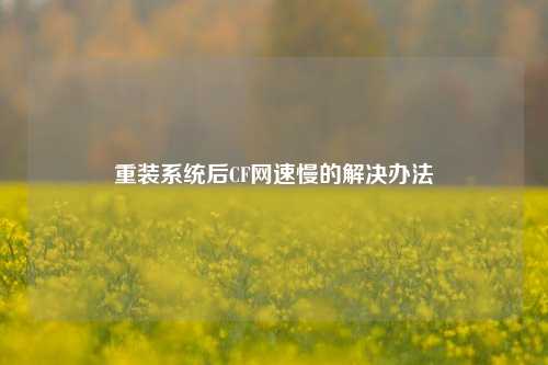 重装系统后CF网速慢的解决办法