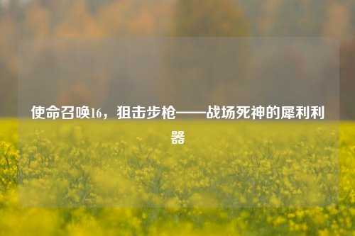 使命召唤16，狙击步枪——战场死神的犀利利器